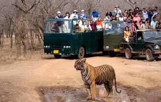 online ticket booking for ranthambore safari online ticket booking for ranthambore safari