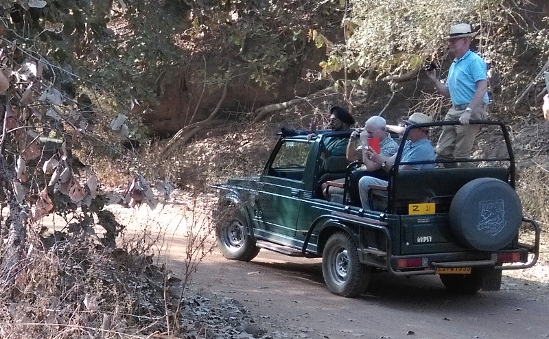 Ranthambore  online jeep safari booking