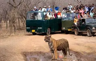 online ticket booking for ranthambore safari