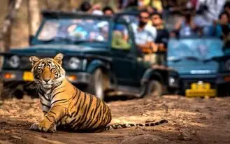 Ranthambore Safari Online Booking