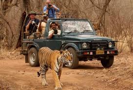Ranthambore Tiger Safari Tour packages