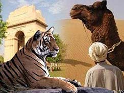 Ranthambore Taj Mahal and Tiger Tour