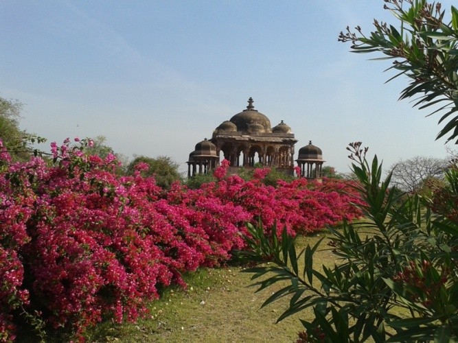 32 Pillar Chatri at ranthambore fort