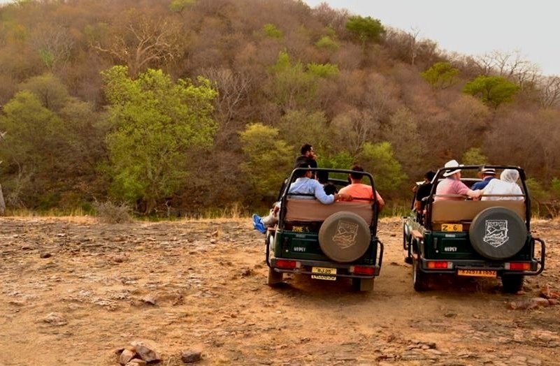 5-reason to visit rathambore