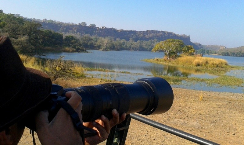 A stunning view of the Ranthambore with camera