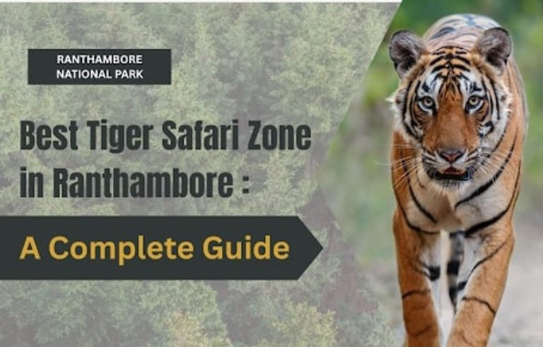 Best Tiger Safari Zone in Ranthambore: A Complete Guide