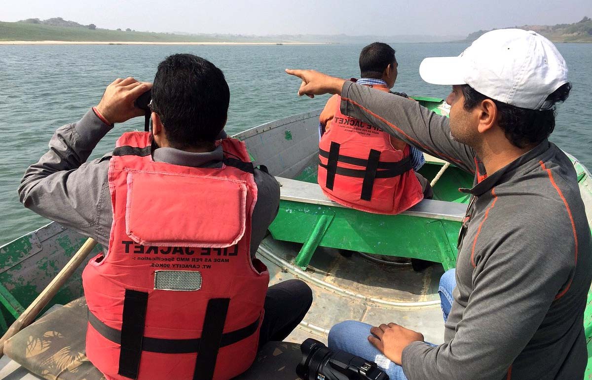 Increasing Tourism in the National Chambal Gharial Sanctuary of Ranthambore