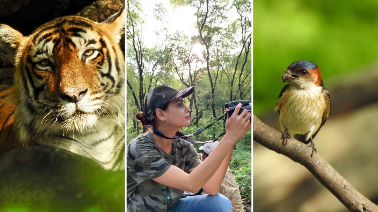 Dia Mirza in Ranthambhore National Park