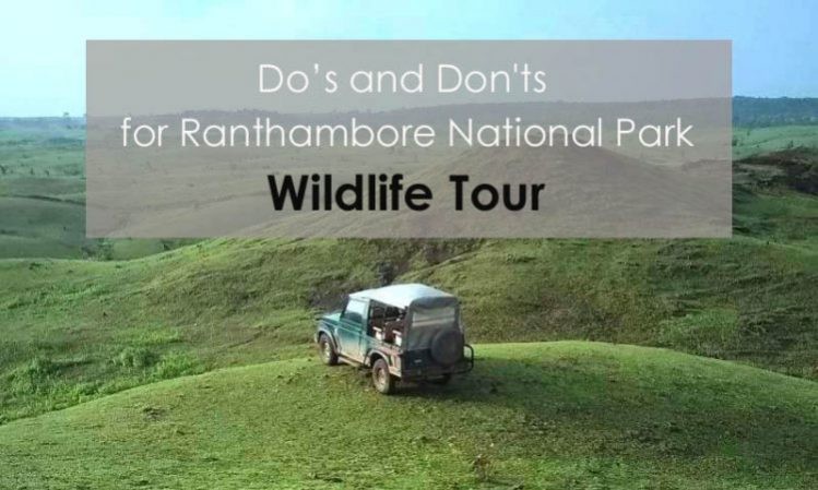 Dos-and-Donts for Ranthambore National Park wildlife tours