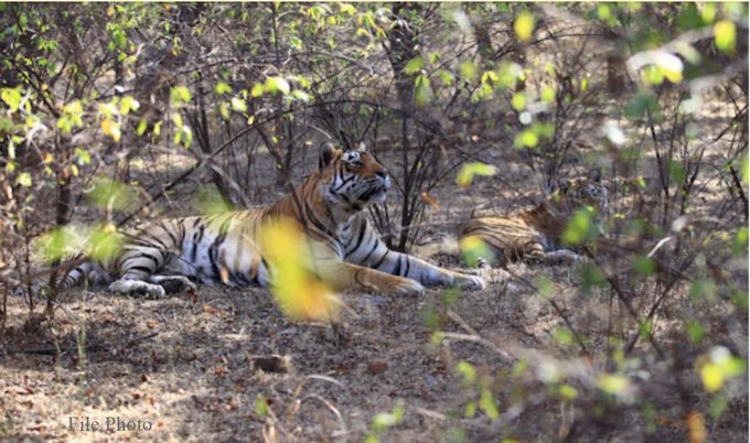 EOtq37CU0AEX1wm