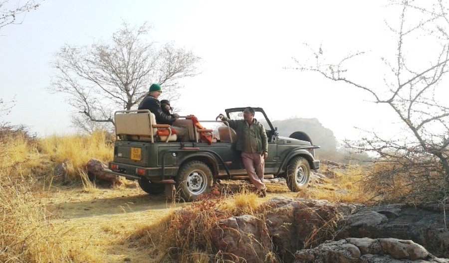 Full Day Jungle Safari in Ranthambore National Park