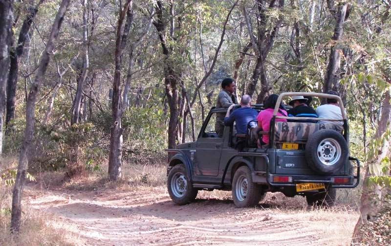 Full day and half day safari
