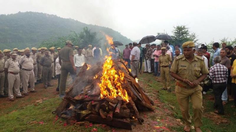 Funeral of Machhli T16 Ranthambore