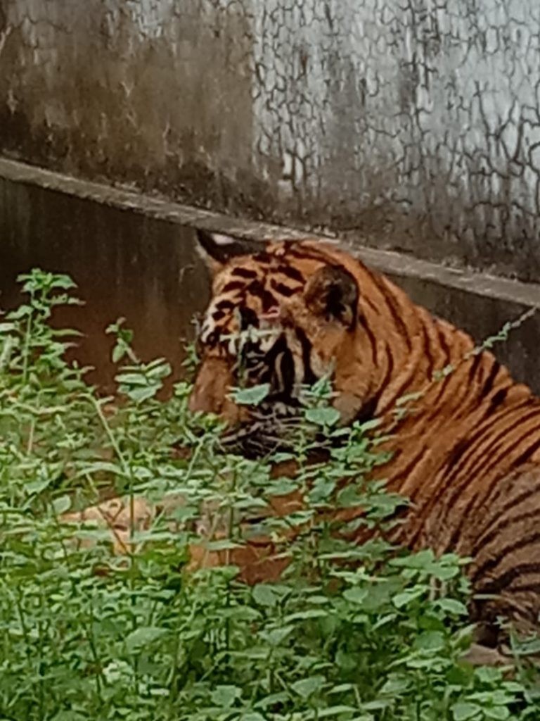 IMG-20190929-WA0011-768x1024