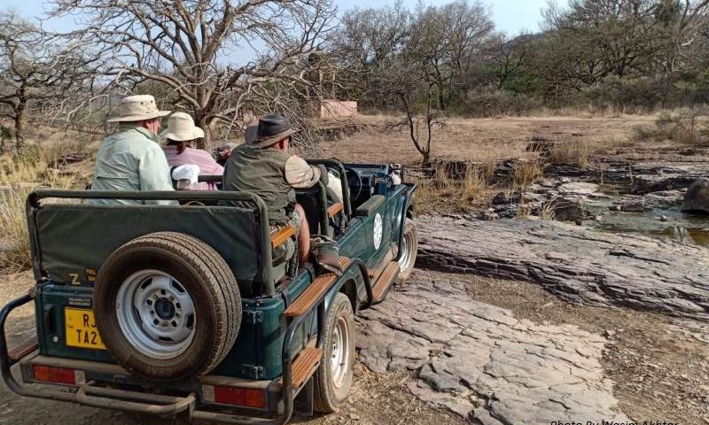 Jeep Safari Ranthambore by wasim