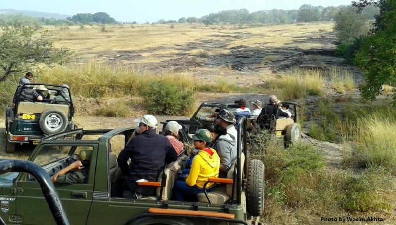 Jeep safari in ranthambore