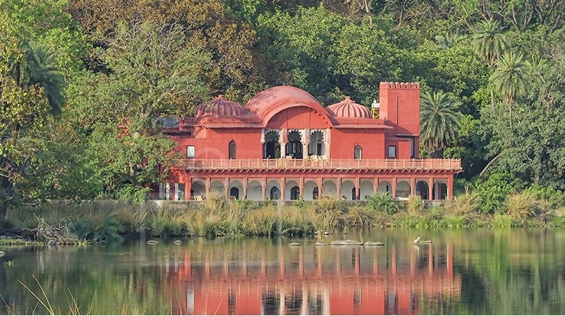 Jogi Mahal Ranthambhore