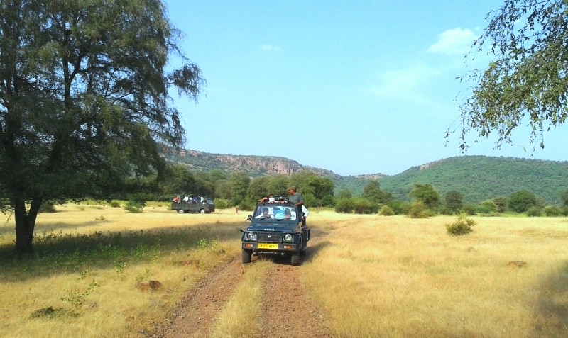 Jungle safari in Ranthambore National Park
