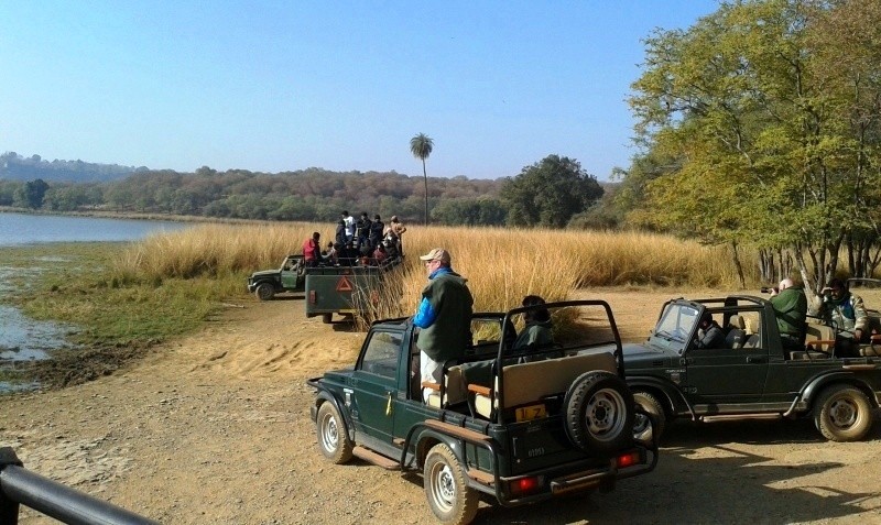 Jungle safari tour Ranthambore