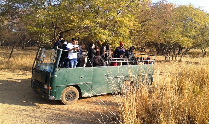 Jungle safari y Canter in Ranthambore