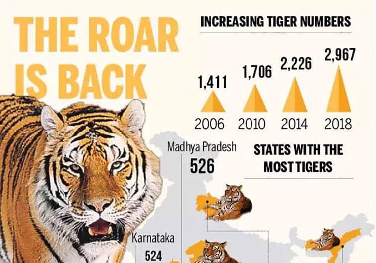 MP tops country with 526-tigers-as-per All India Tiger Estimation 2018
