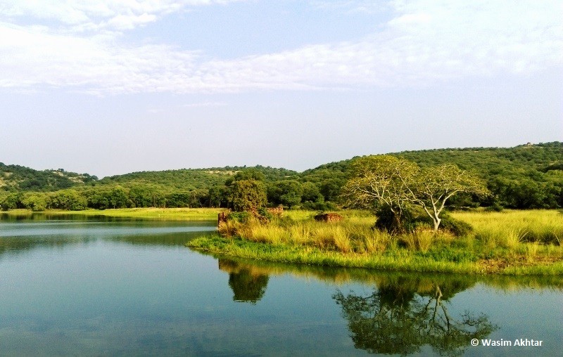 Padam Lake