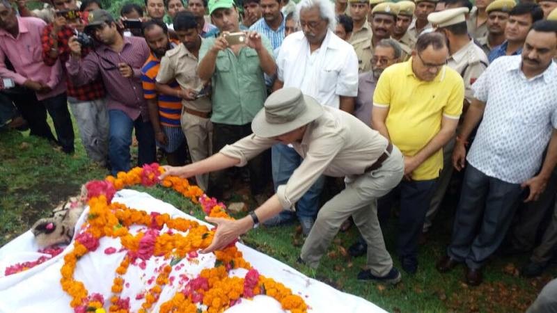 Queen of Ranthambore died