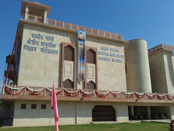 Rajiv Gandhi Regional Museum of Natural History Ranthambore_1