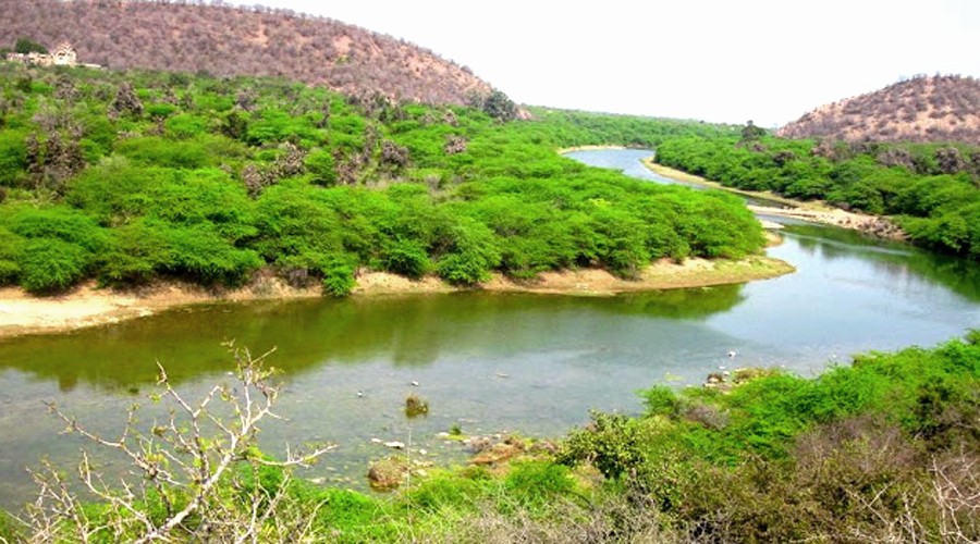 Ramgarh Vishdhari Sanctuary became the fourth tiger reserve of Rajasthan