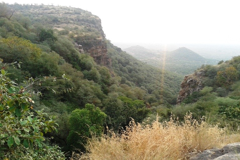 Ranthambor National Park