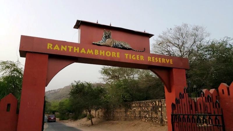 Ranthambor National Park