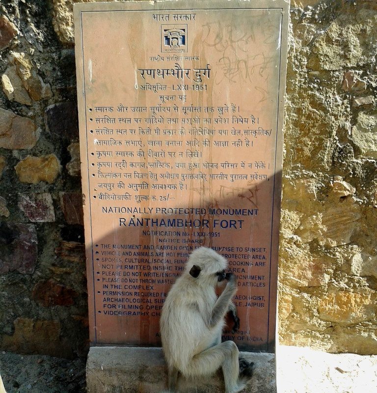Ranthambore Durg