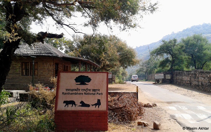 Ranthambore Fort Raod
