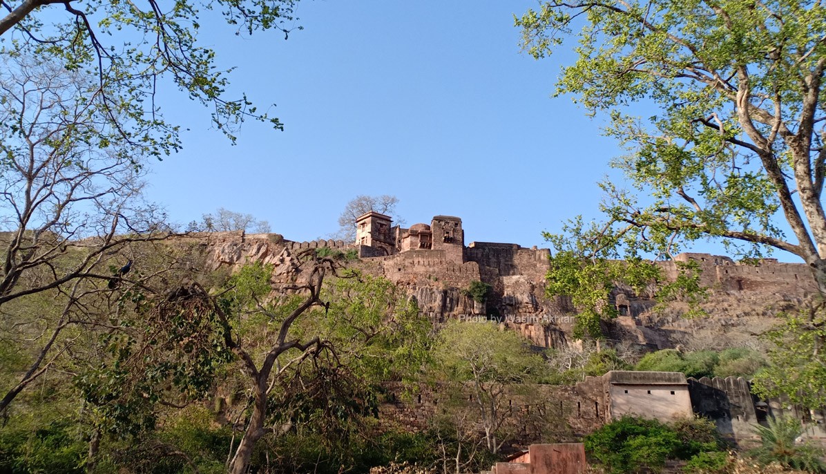 Ranthambore Fort 1