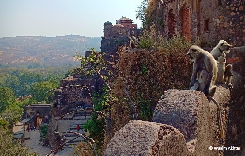 Ranthambore Fort