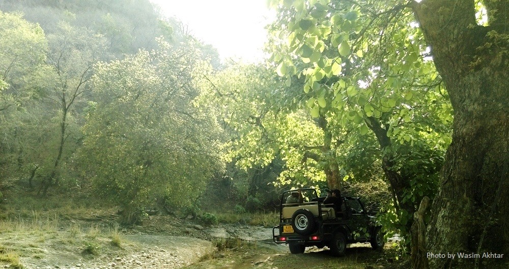 Ranthambore Jeep safari_11
