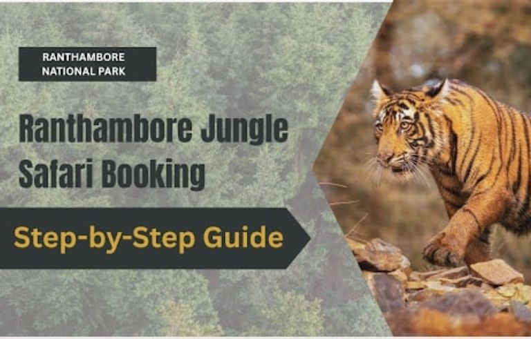 Step-by-Step Guide to Ranthambore Jungle Safari Booking