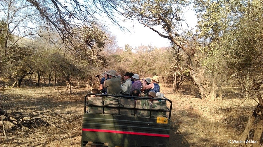 Ranthambore Jungle Safari_111