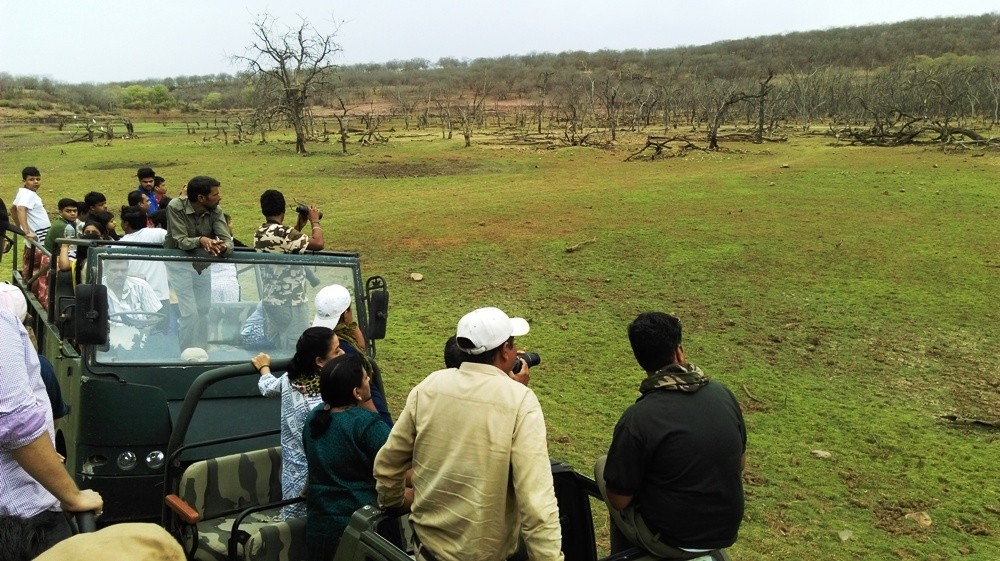 Ranthambore Jungle Safari_121