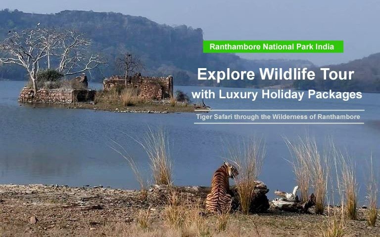 Ranthambore Luxury Holiday wildlife packages