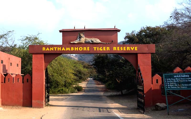 Ranthambore National Park Safari: Now tourist vehicles will not go to take tourists to hotels