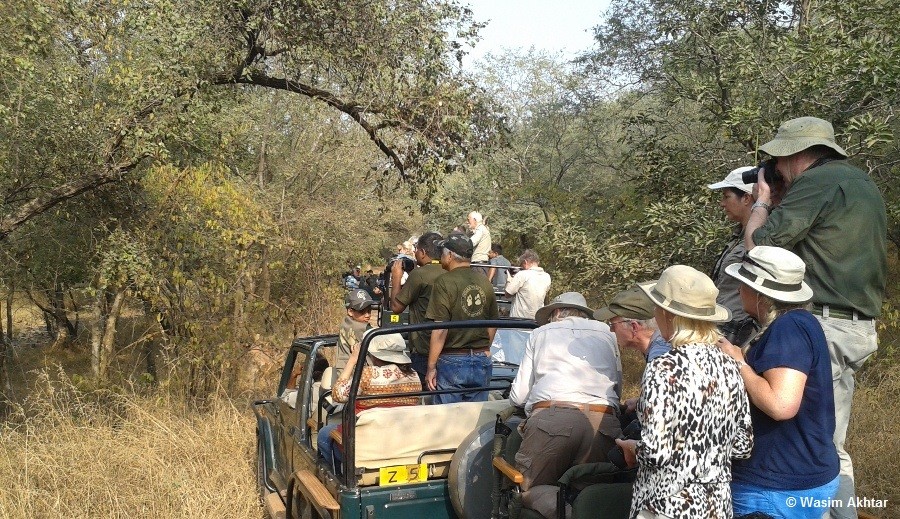 Ranthambore National Park Tour Packages