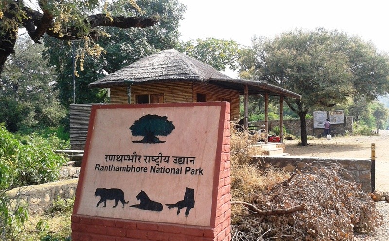Ranthambore National Park a Magnificent Indian Bount