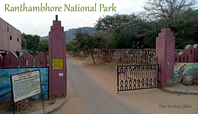 Ranthambore National-Park gate copy