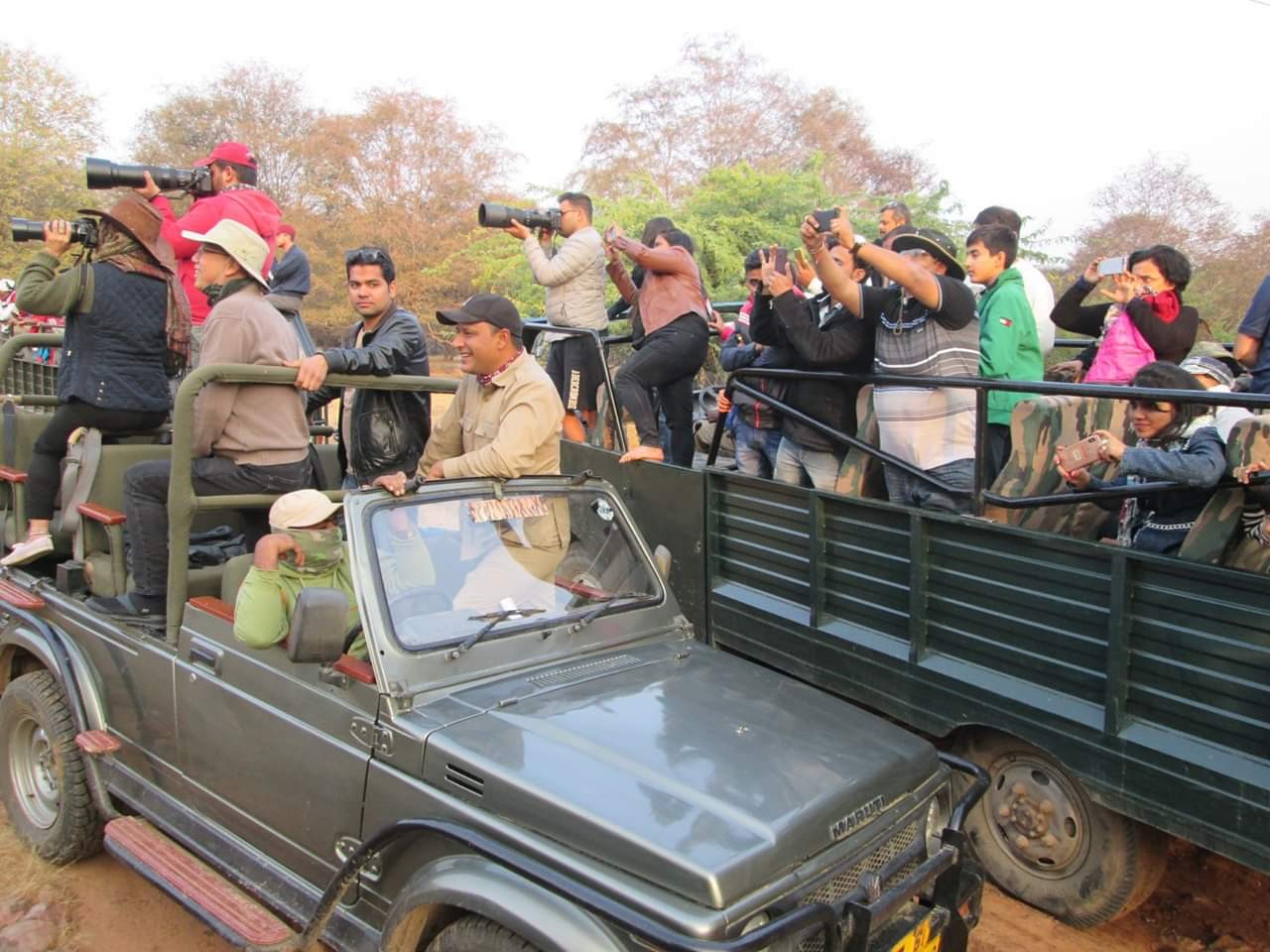 Ranthambore National Park safari open