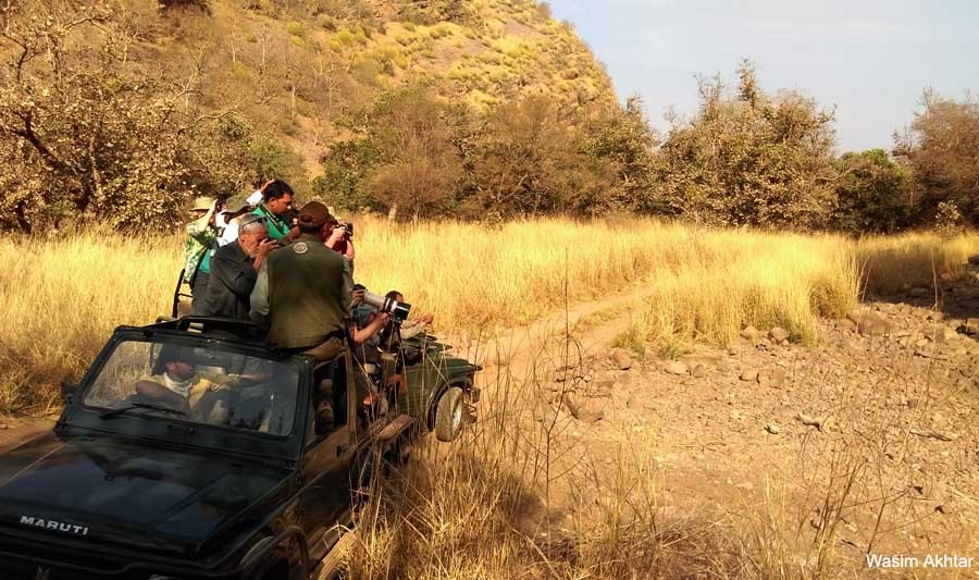 Ranthambore National Park safari_11