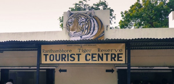 Ranthambore Safari Booking Tips