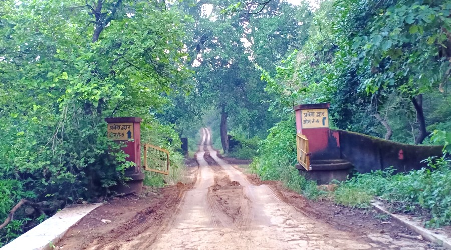 Planning to start new Safari Zone in Ranthambore National Park