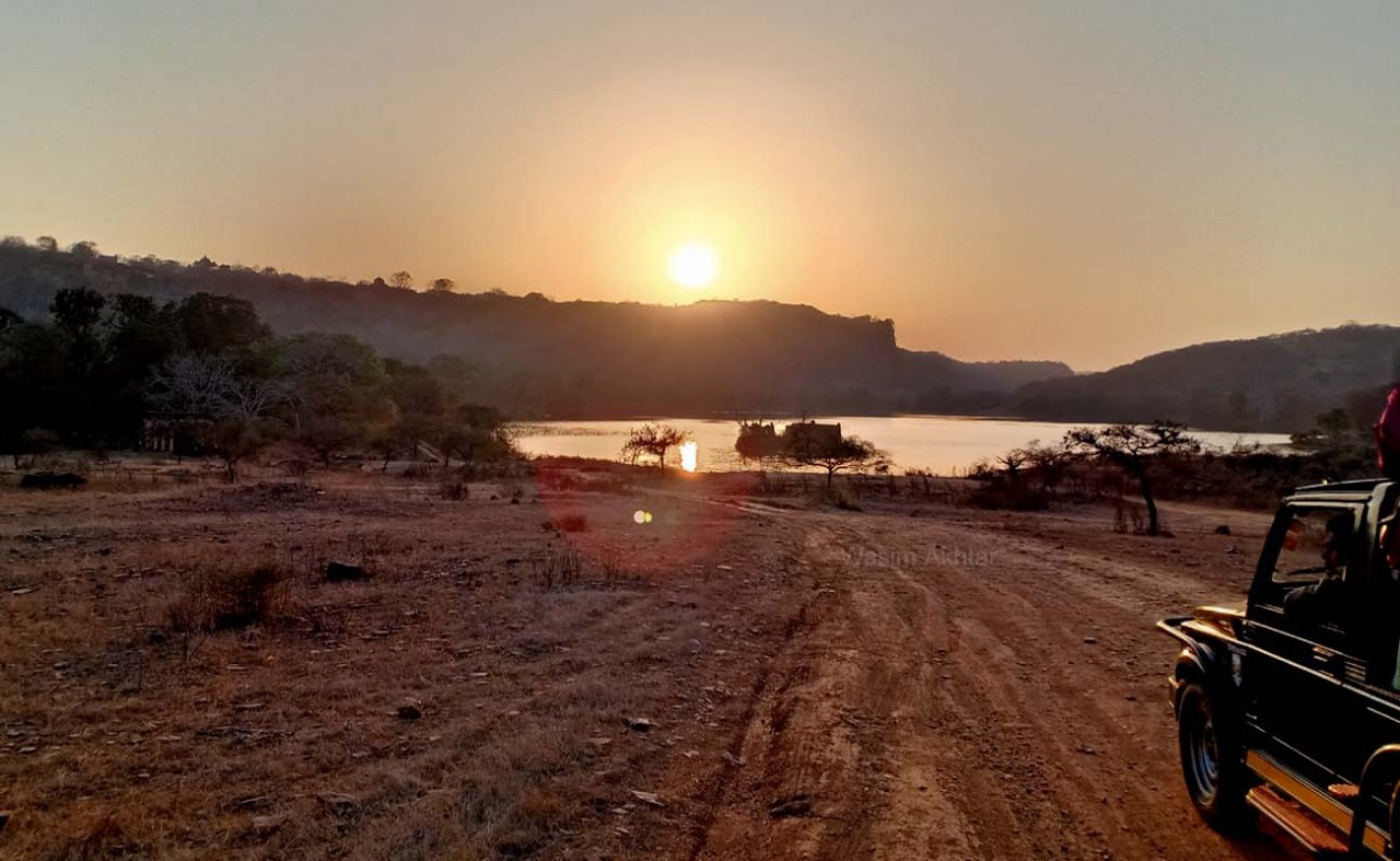 Ranthambore Safari Zone 1