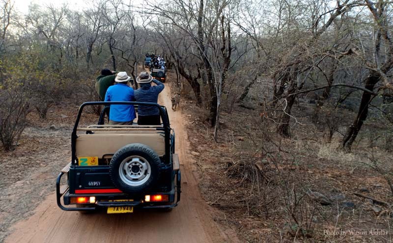 Ranthambore Safari Zone